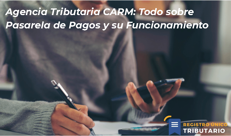 Agencia Tributaria Carm: Todo Sobre Pasarela De Pagos Y Su Funcionamiento