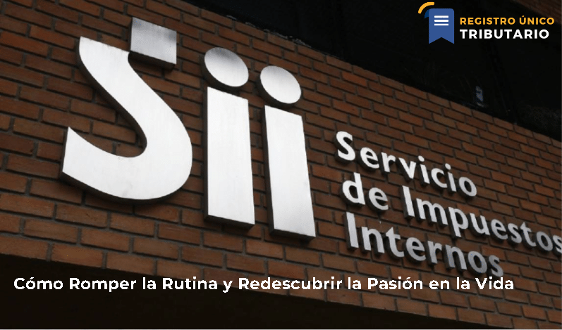 Cómo Romper La Rutina Y Redescubrir La Pasión En La Vida