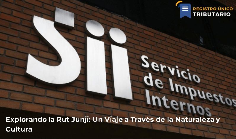 Explorando La Rut Junji: Un Viaje A Través De La Naturaleza Y Cultura
