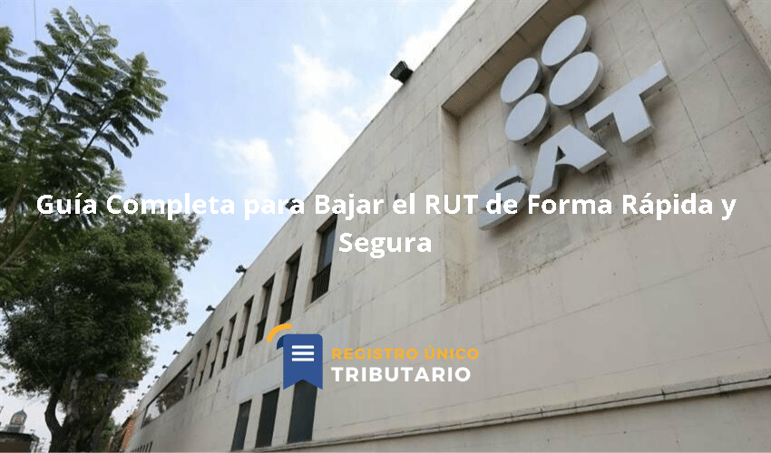 Guía Completa Para Bajar El Rut De Forma Rápida Y Segura