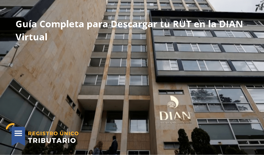 Guía Completa Para Descargar Tu Rut En La Dian Virtual