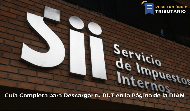 Guía Completa Para Descargar Tu Rut En La Página De La Dian
