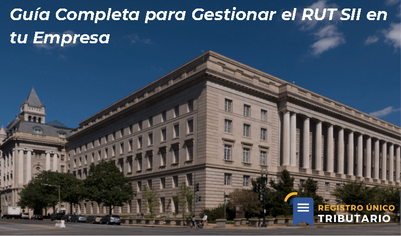Guía Completa Para Gestionar El Rut Sii En Tu Empresa
