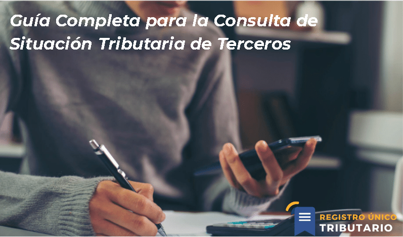 Guía Completa Para La Consulta De Situación Tributaria De Terceros