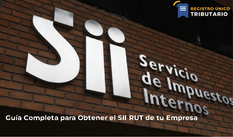 Guía Completa Para Obtener El Sii Rut De Tu Empresa