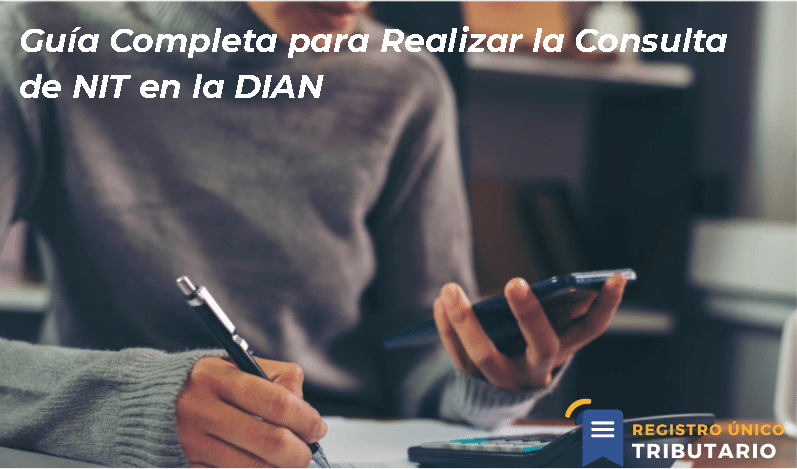 Guía Completa Para Realizar La Consulta De Nit En La Dian