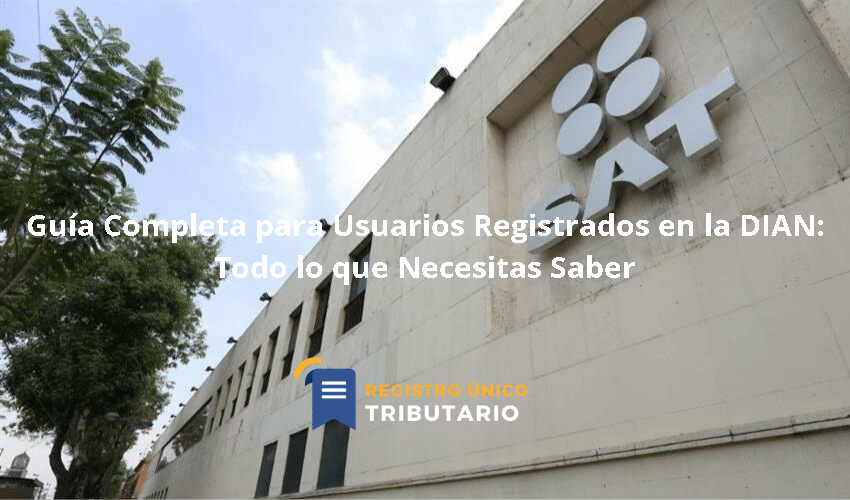 Guía Completa Para Usuarios Registrados En La Dian: Todo Lo Que Necesitas Saber