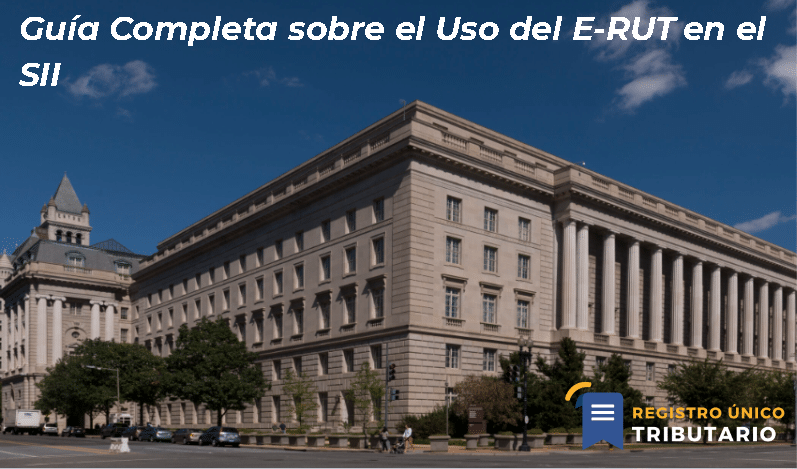 Guía Completa Sobre El Uso Del E Rut En El Sii