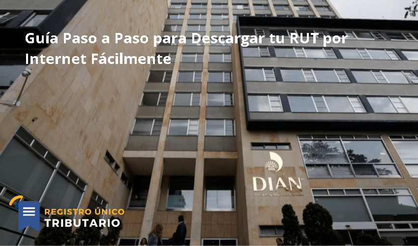 Guía Paso A Paso Para Descargar Tu Rut Por Internet Fácilmente