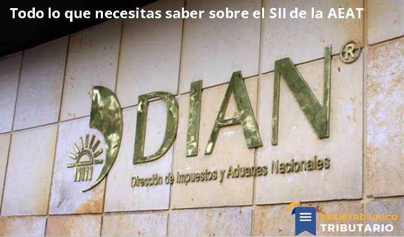Todo Lo Que Necesitas Saber Sobre El Sii De La Aeat