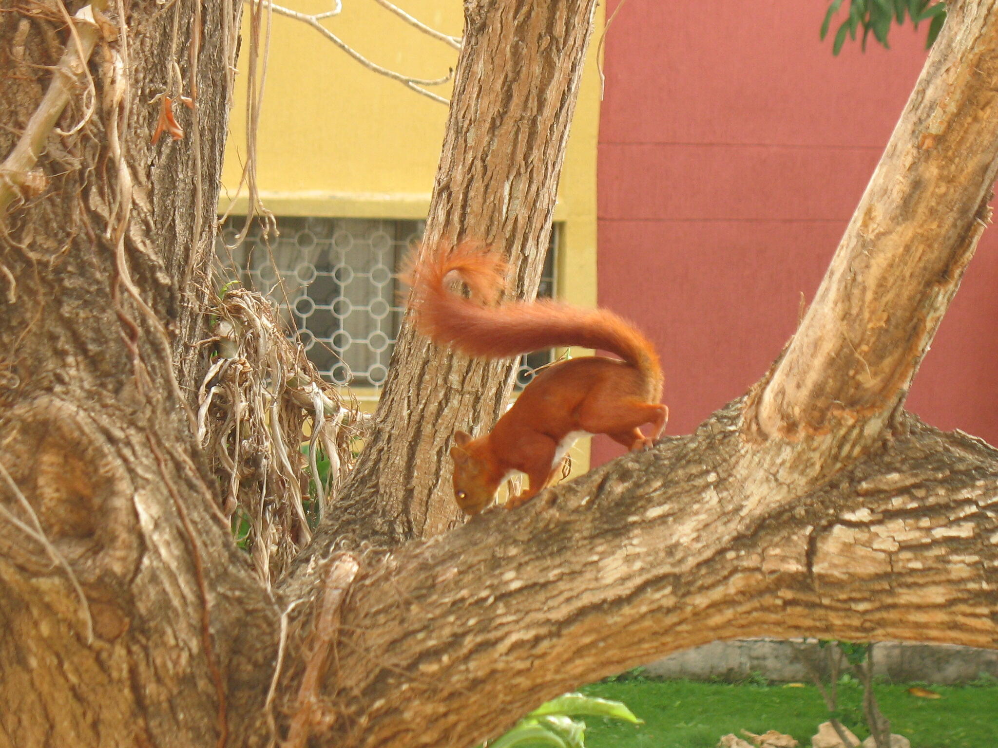 Conseguir-RUT-en-Barranquilla 