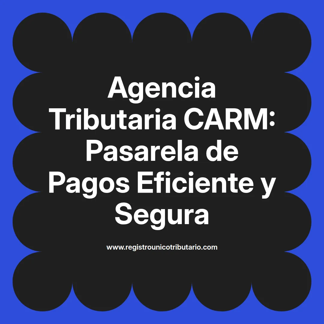 Imagen destacada sobre agencia tributaria carm es pasarelapagos y servicios de pasarela de pagos