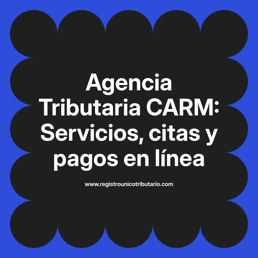 Imagen destacada sobre la agencia tributaria carm y la pasarela de pagos en Carmona
