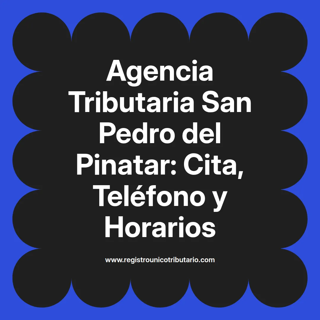 Imagen sobre la agencia tributaria san pedro del pinatar y cómo pedir cita previa