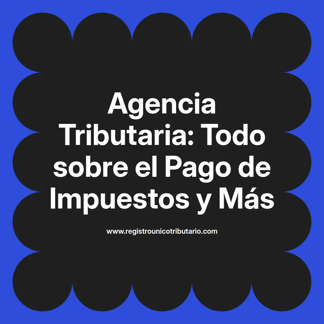 Imagen destacada sobre agencia tributaria pago de impuestos y métodos de pago disponibles