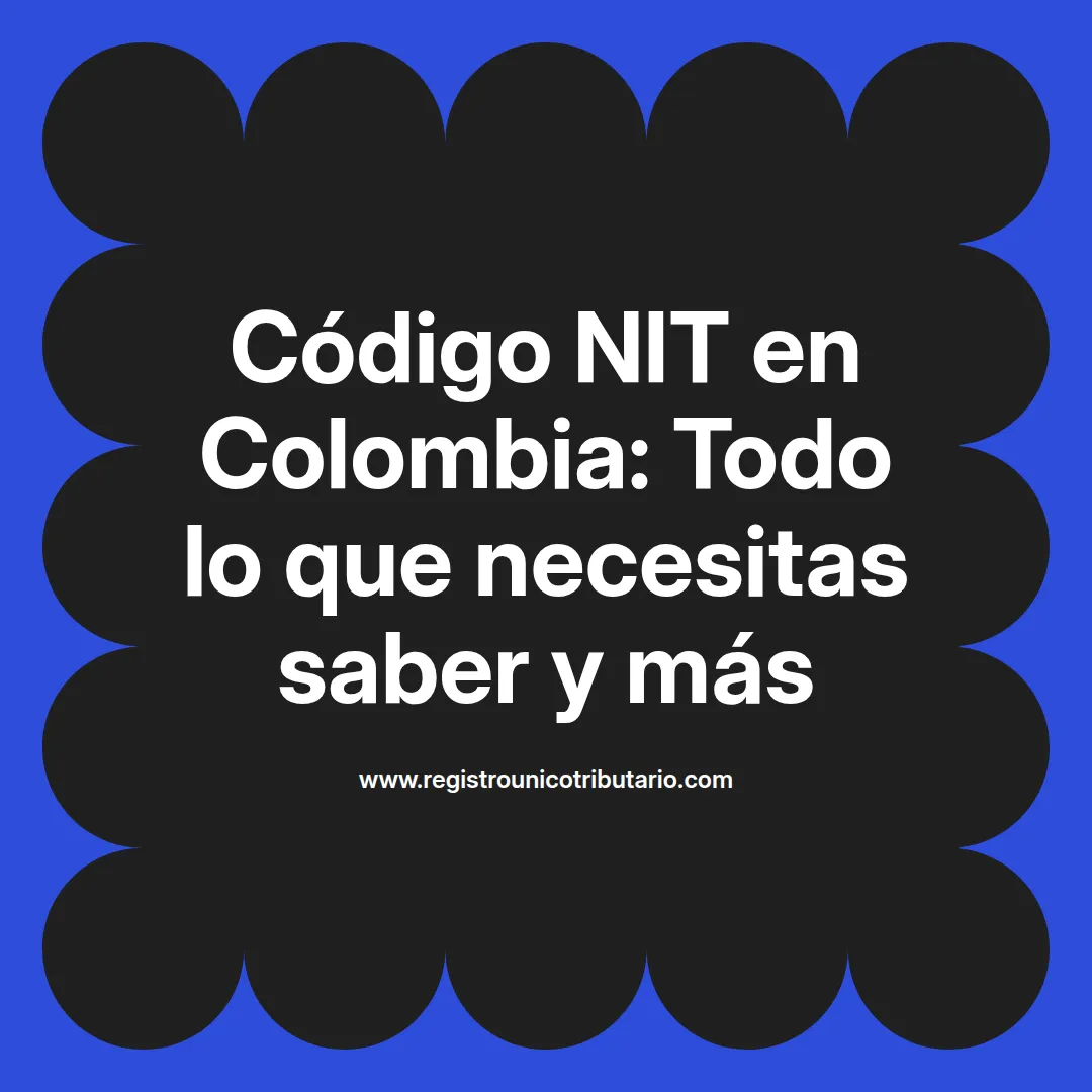 Imagen informativa sobre el codigo nit en Colombia y su uso en la Dian