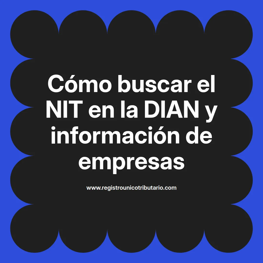 Imagen que ilustra cómo buscar nit en la dian y también para buscar nit de empresa en la dian