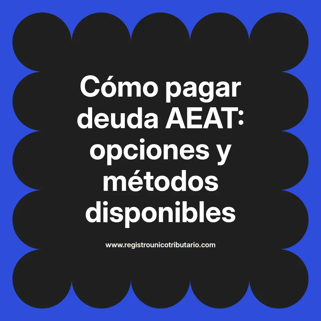 Imagen destacada sobre cómo pagar deuda aeat con tarjeta y opciones de pago fraccionado