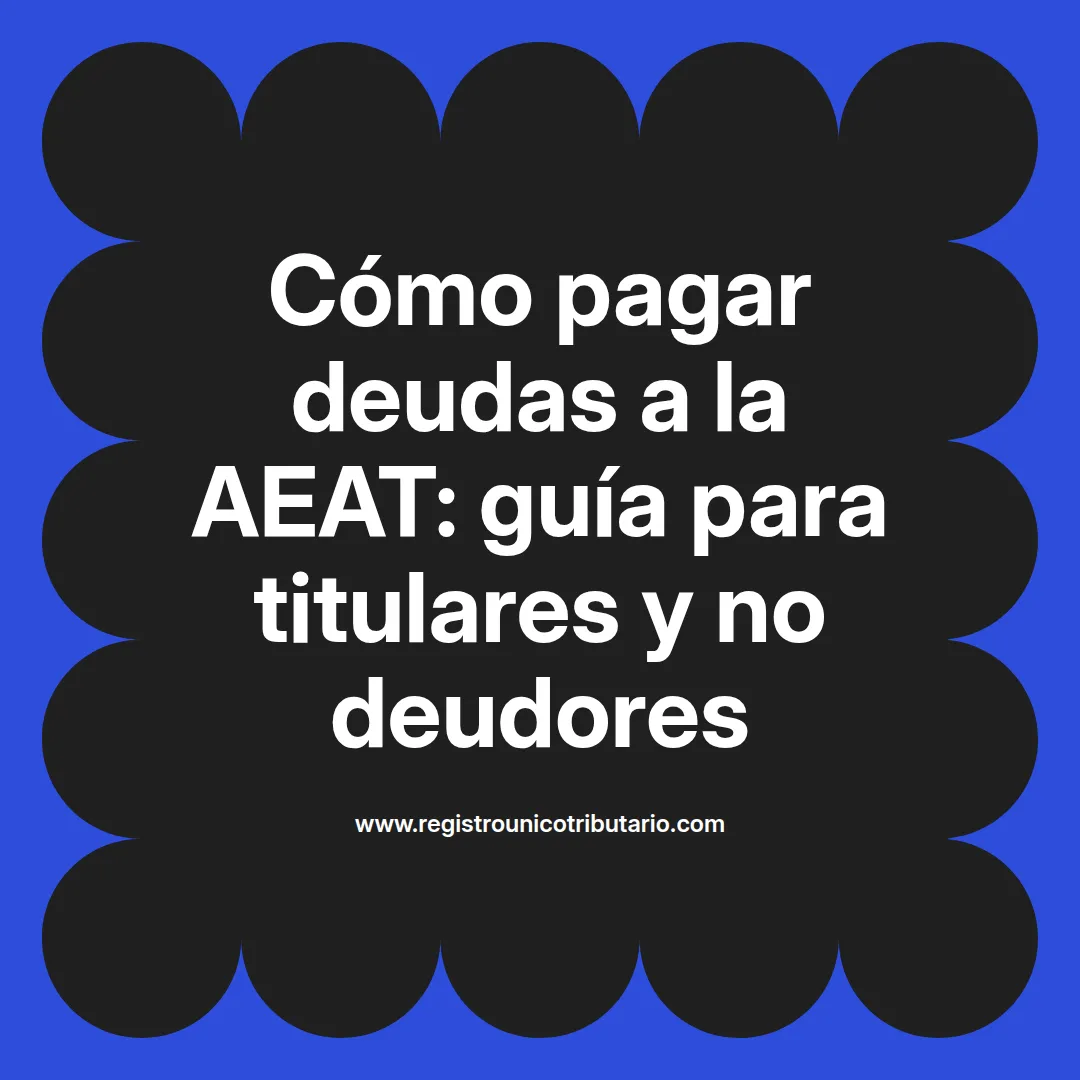 Imagen destacada sobre aeat pagar deudas incluyendo información para titulares y deudores