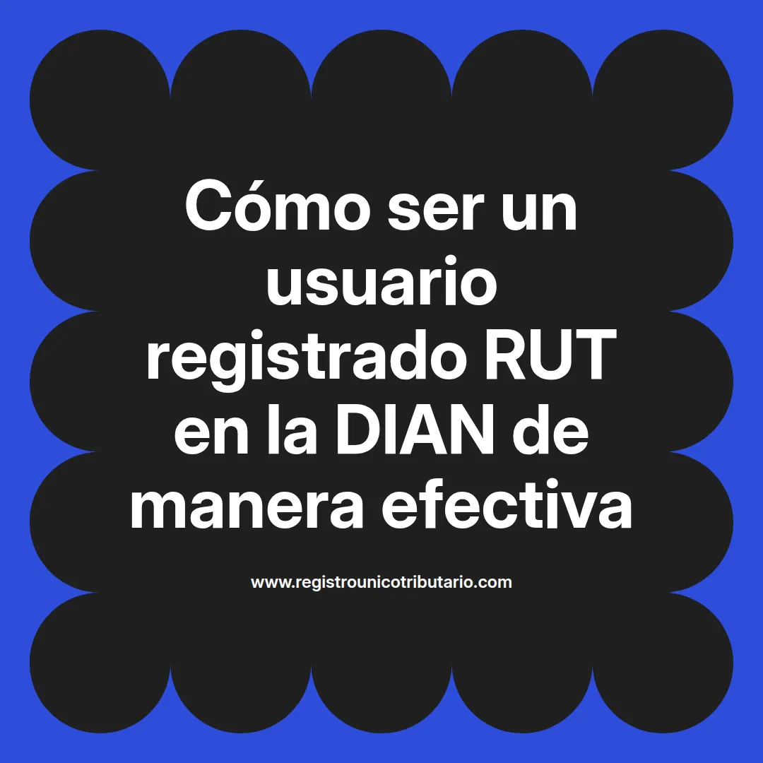 Imagen destacada sobre usuario registrado rut y actualización de datos en el sistema de registro