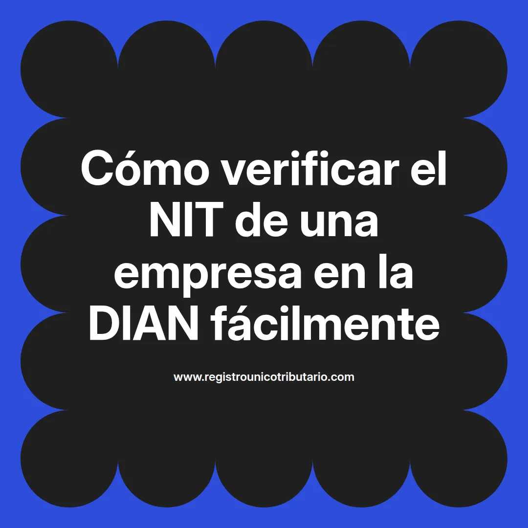 Imagen que ilustra cómo verificar nit dian y el proceso para verificar nit de empresa dian