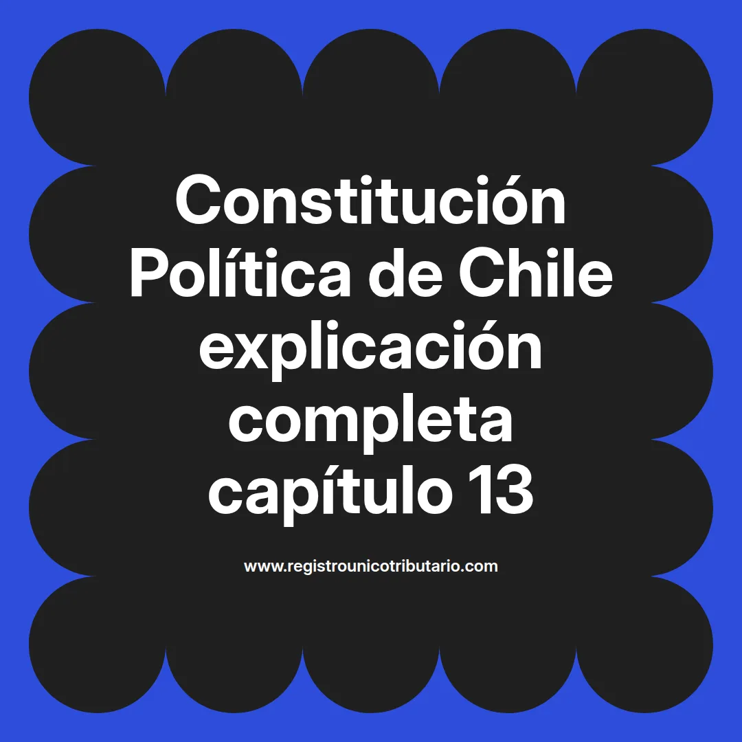 imagen destacada del post con un texto en el centro que dice Constitución Política de Chile explicación completa capítulo 13 y abajo del texto aparece el url de sitio web que es registro unico tributario punto com