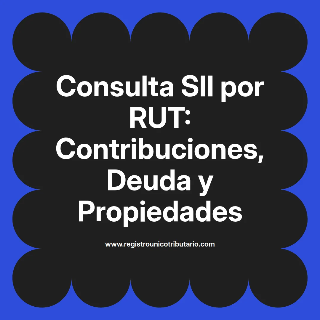 Imagen destacada sobre las contribuciones sii por rut y búsqueda de propiedades por rut en el SII