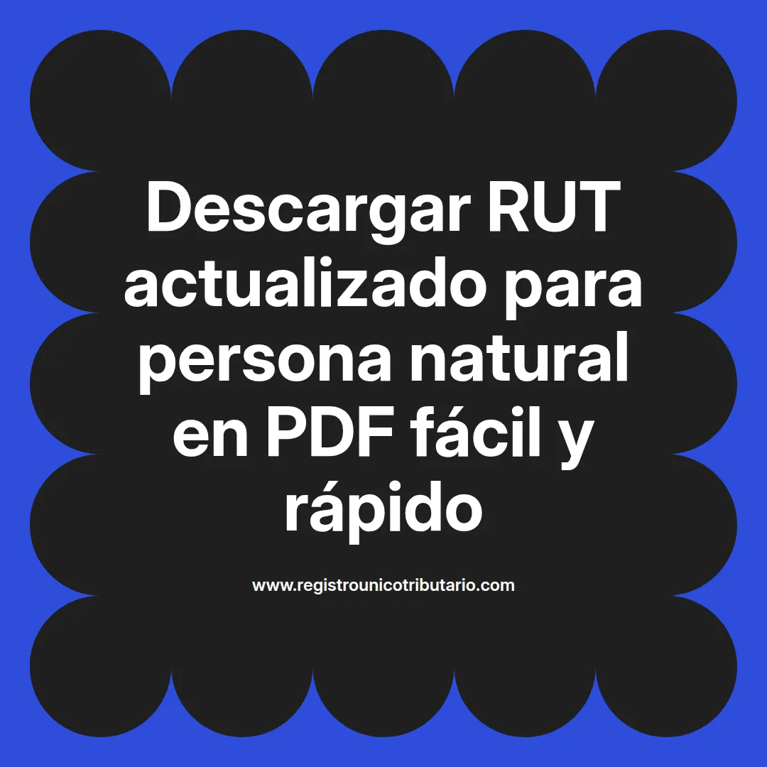 Imagen destacada para descargar rut actualizado persona natural y opciones para persona jurídica