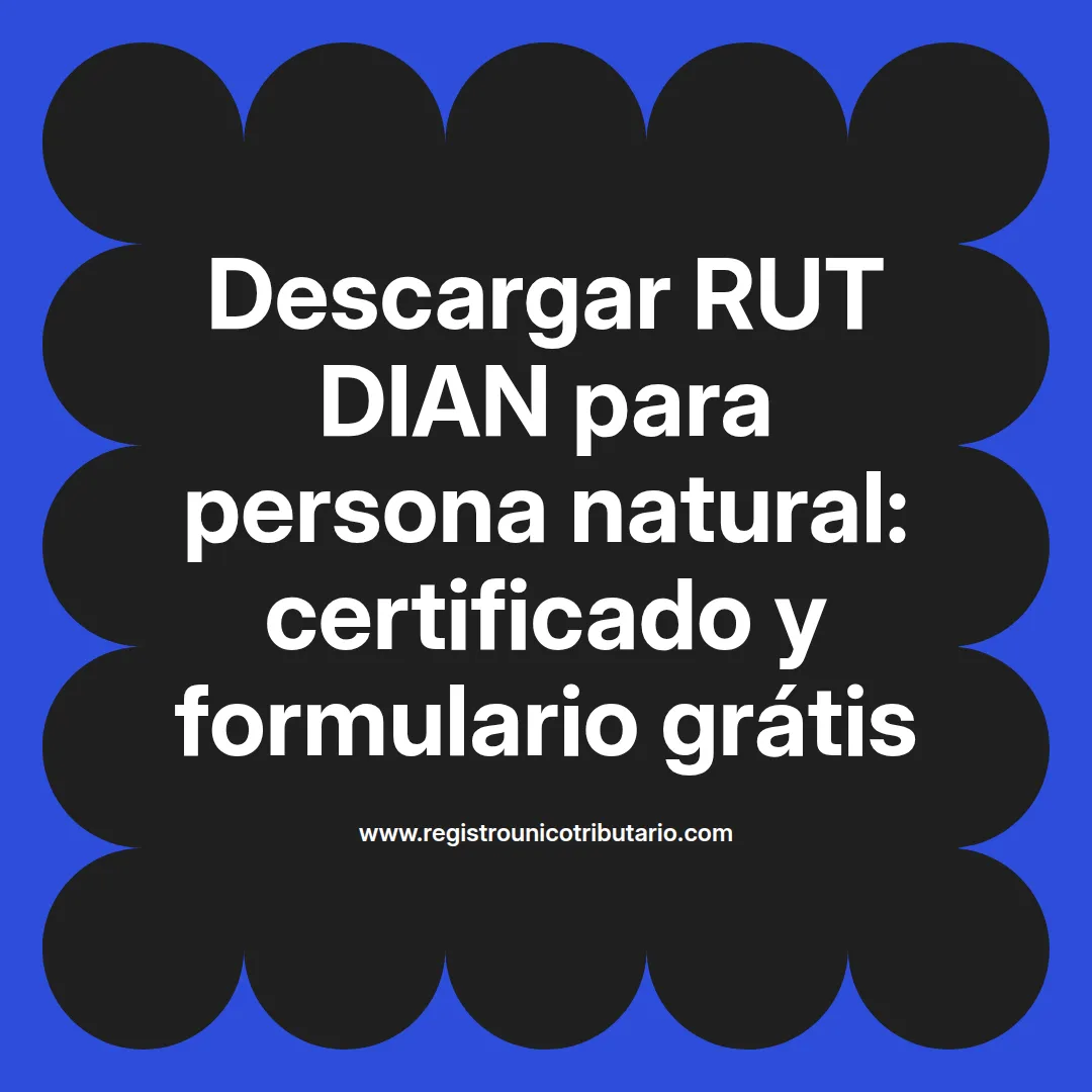 Imagen destacada sobre descargar rut dian persona natural y cómo obtener copia gratis por internet