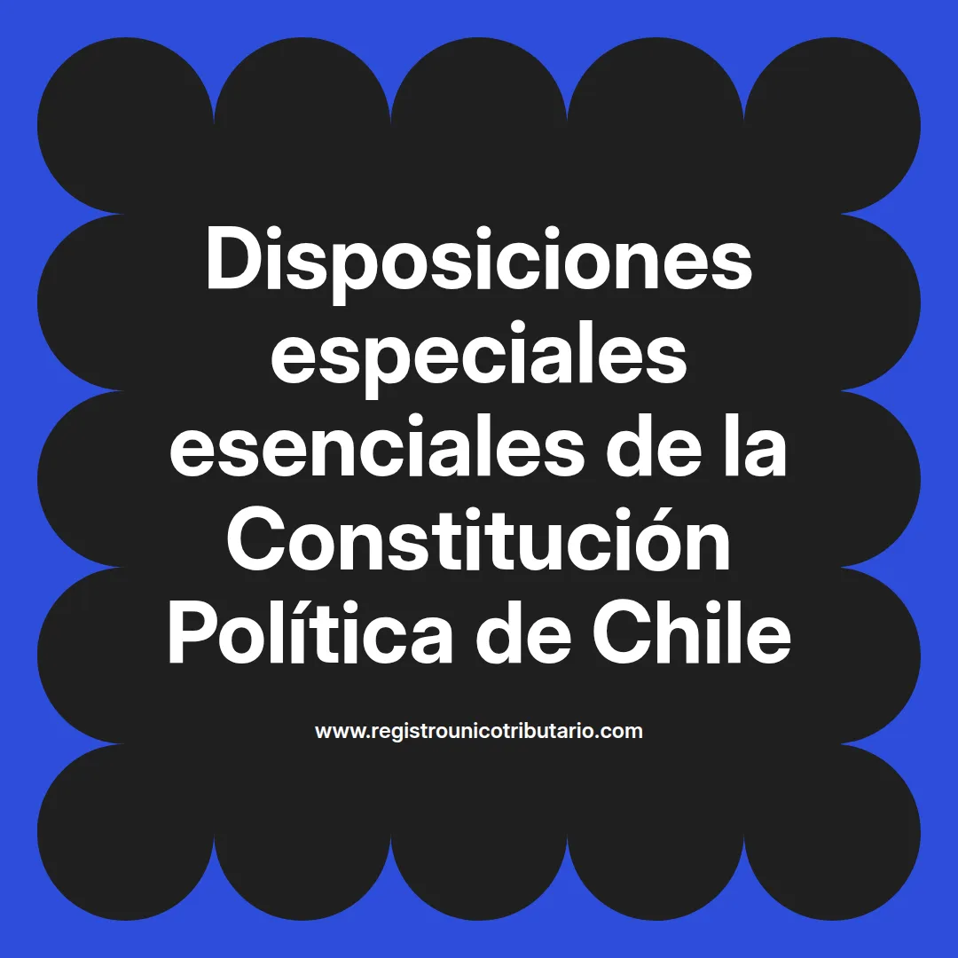 imagen destacada del post con un texto en el centro que dice Disposiciones especiales esenciales de la Constitución Política de Chile y abajo del texto aparece el url de sitio web que es registro unico tributario punto com