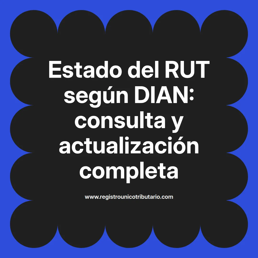 Imagen ilustrativa sobre el estado del rut dian y su consulta ante la dian