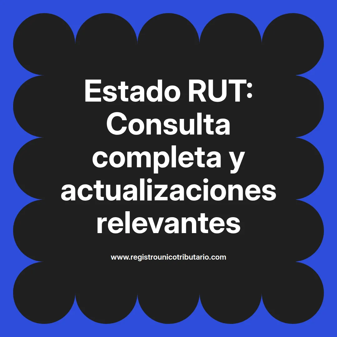 Imagen informativa sobre estado rut y su consulta en diversas rutas nacionales y locales