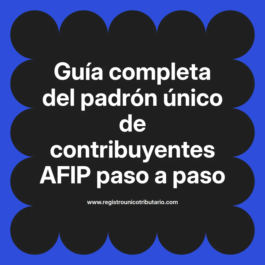 Imagen destacada sobre padrón único de contribuyentes afip paso a paso y documentos de identificación pendientes