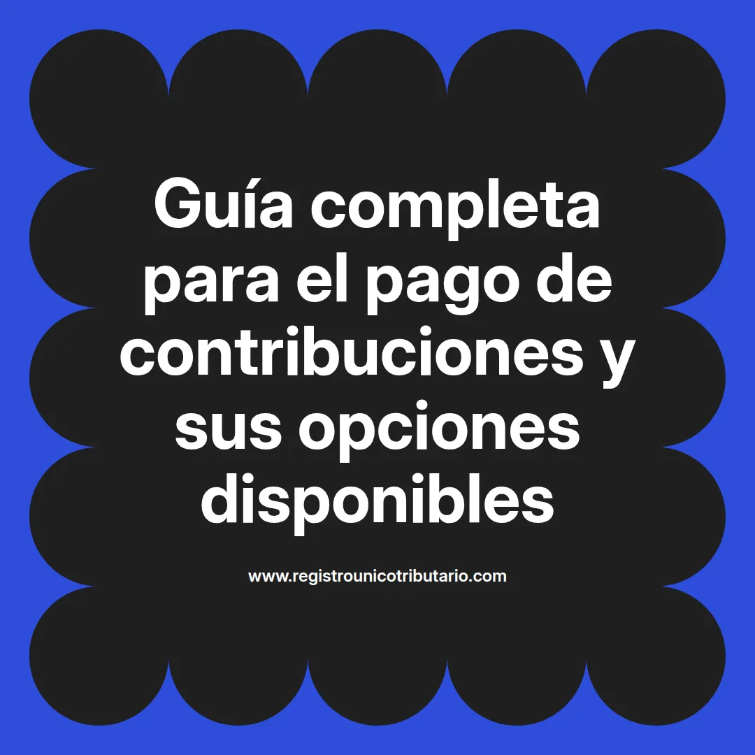 Imagen destacada sobre pago contribuciones y fechas de contribuciones en 2025