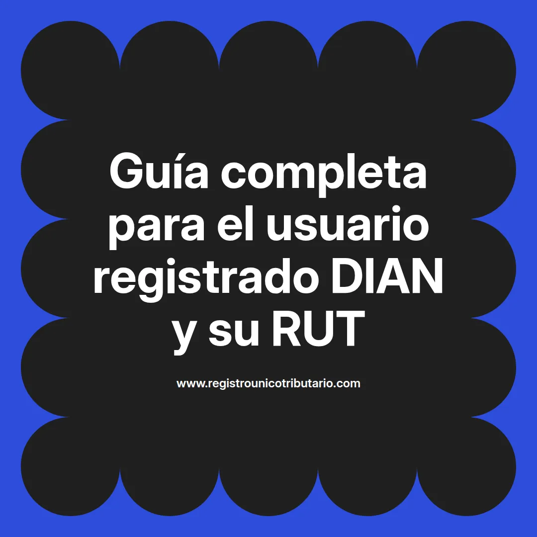 Imagen destacada sobre usuario registrado dian y actualizaciones de RUT en el portal transaccional