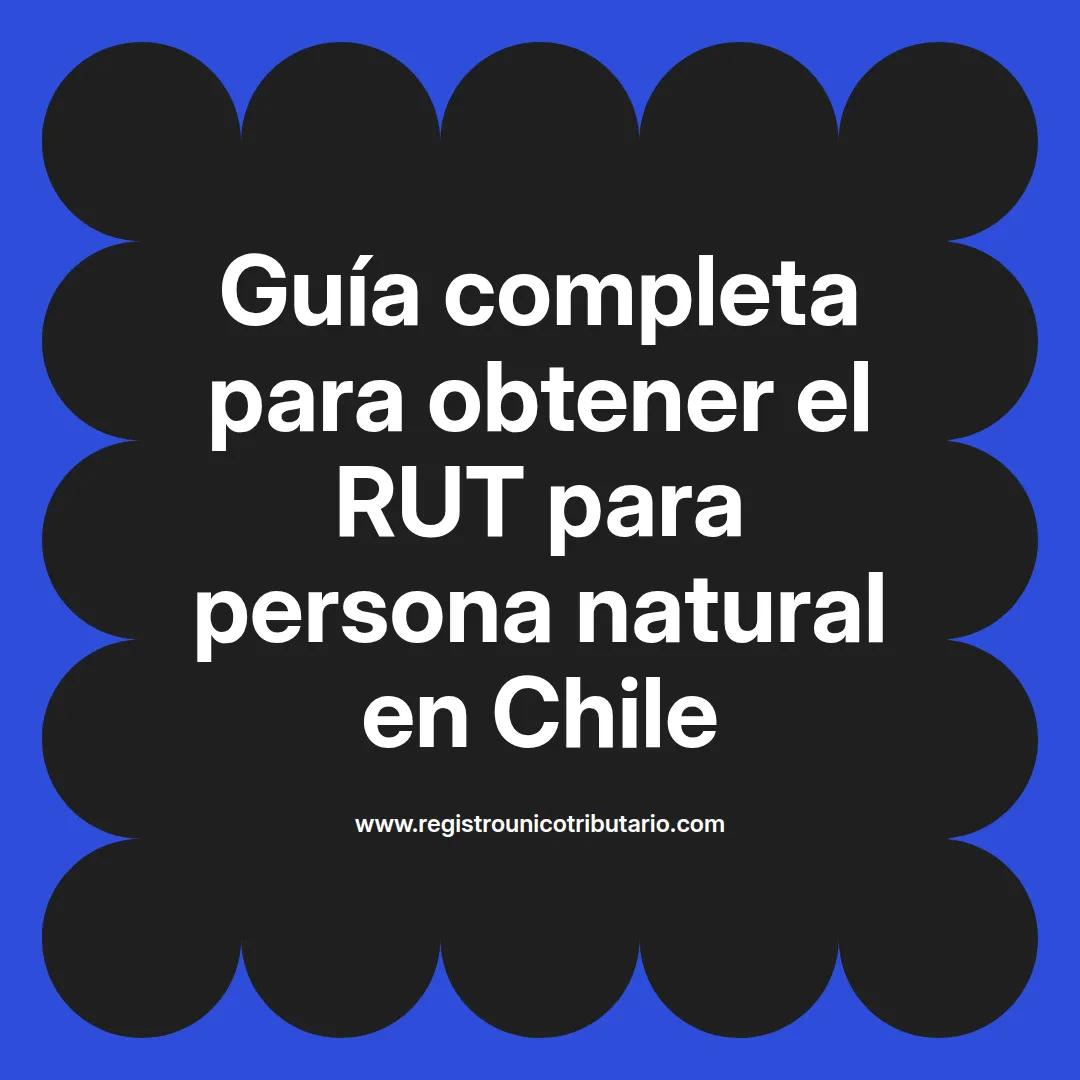Imagen informativa sobre rut para persona natural y requisitos para su obtención