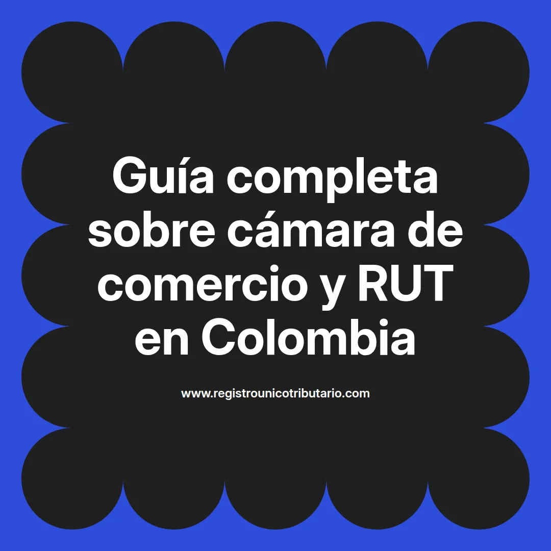 Imagen destacada sobre cámara de comercio RUT y servicios relacionados para consultas y certificaciones