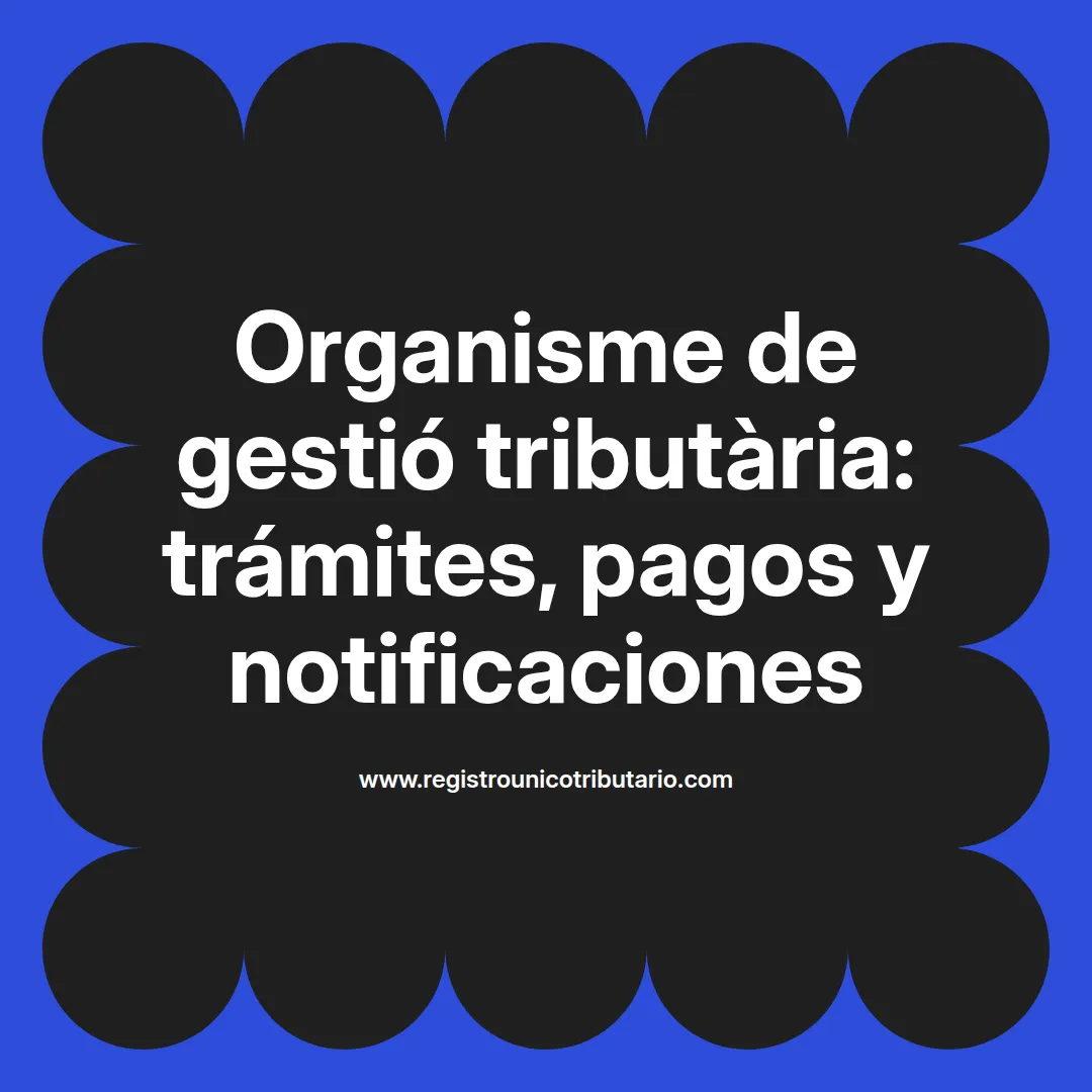 Imagen sobre organisme de gestió tributaria y pagos en Sant Feliu de Llobregat