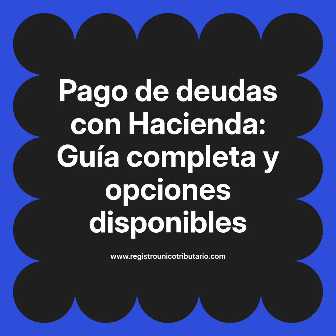 Imagen destacada sobre pago de deudas hacienda y métodos de pago en Navarra