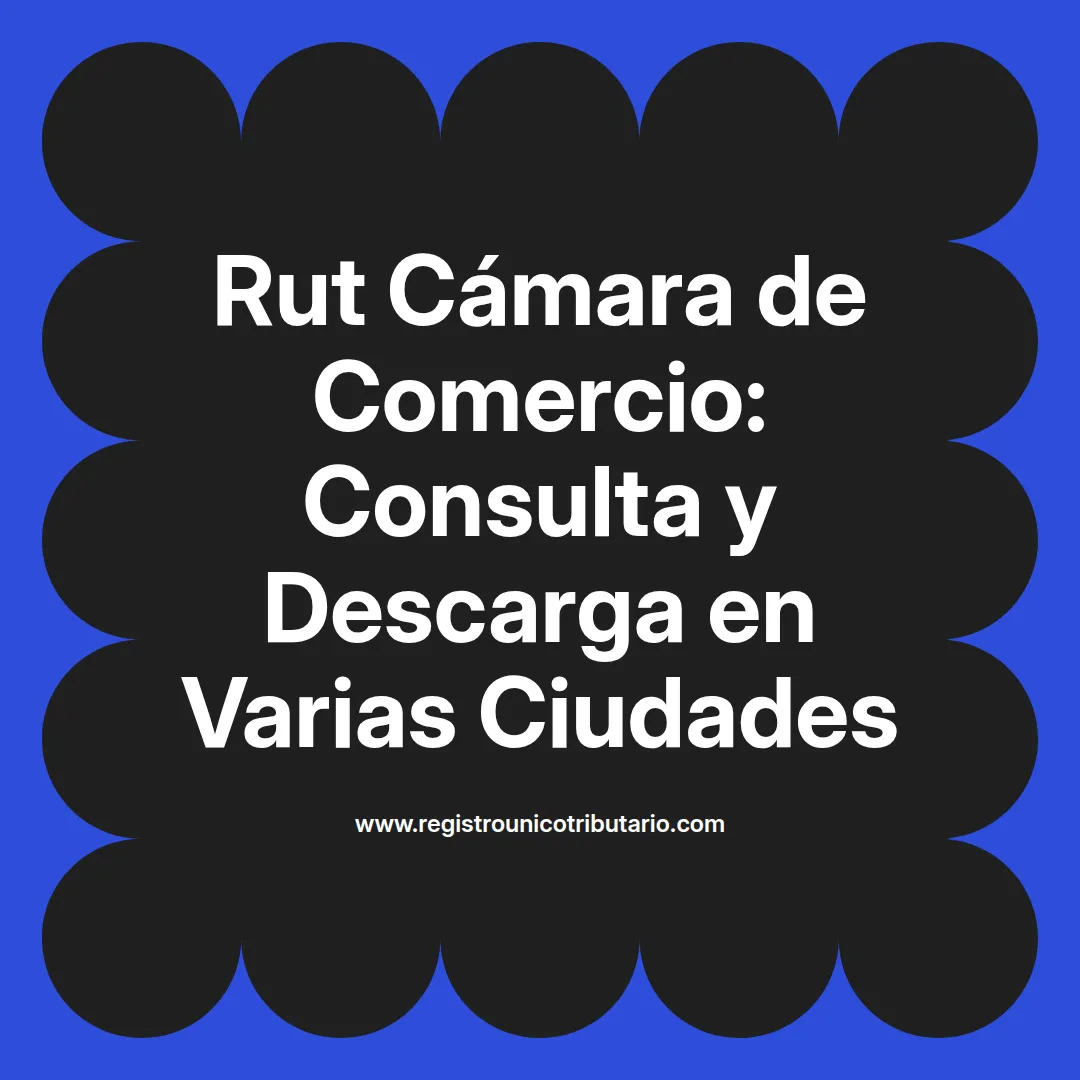 Imagen sobre el proceso de obtención del rut camara de comercio en varias ciudades de Colombia