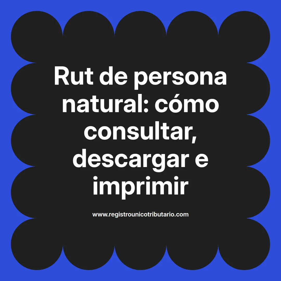 Imagen destacada sobre rut de persona natural y guía para su descarga y verificación