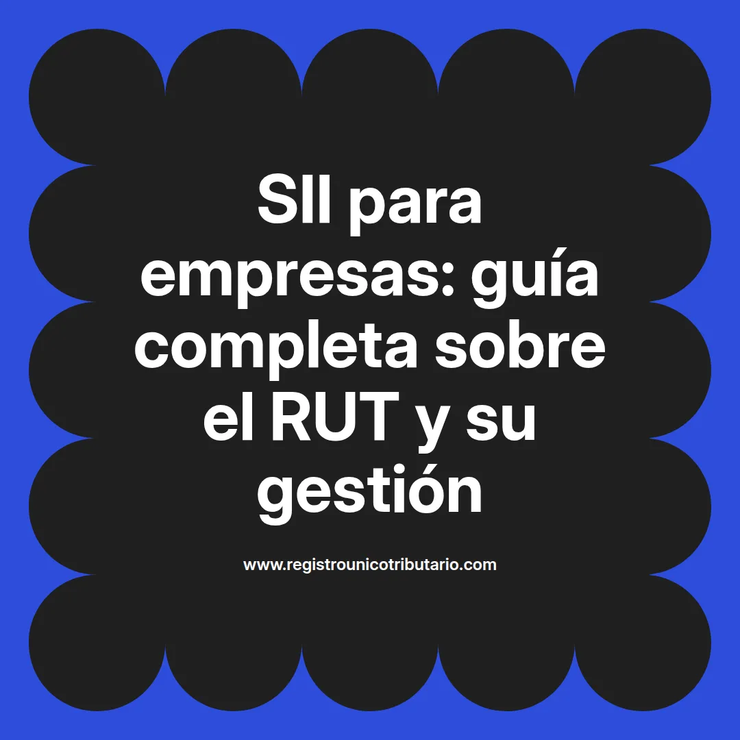 Imagen destacada sobre sii empresas rut y su relación con empresas extranjeras e internacionales