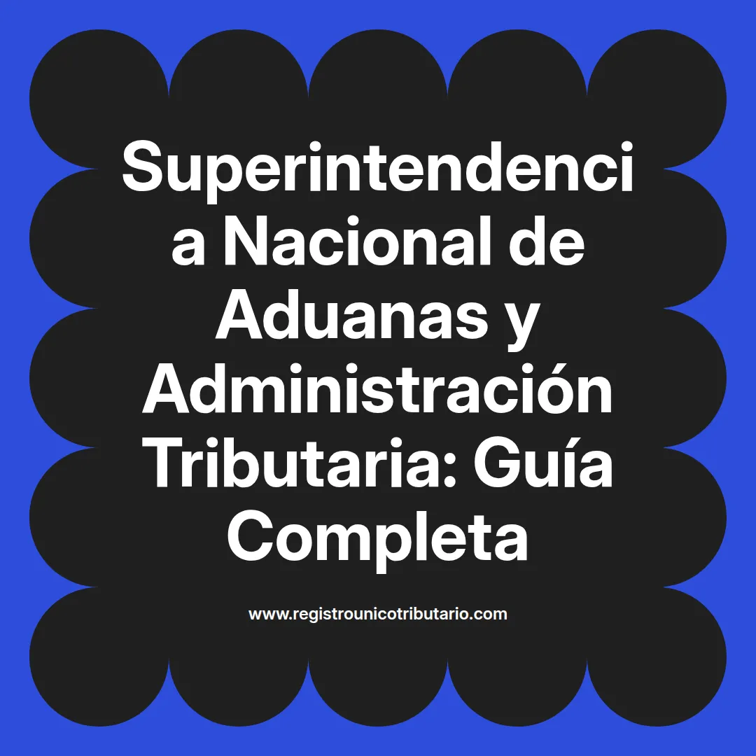 Imagen sobre la superintendencia nacional de aduanas y de administración tributaria y su mesa de partes virtual