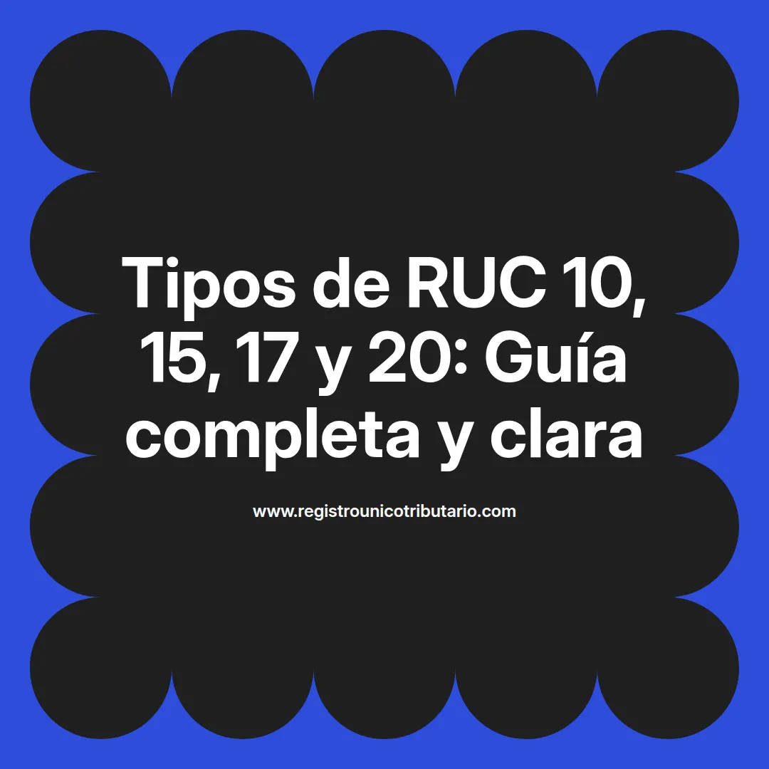 Imagen sobre tipos de ruc 10 y sus diferencias con otros tipos de ruc como el 15 y el 20