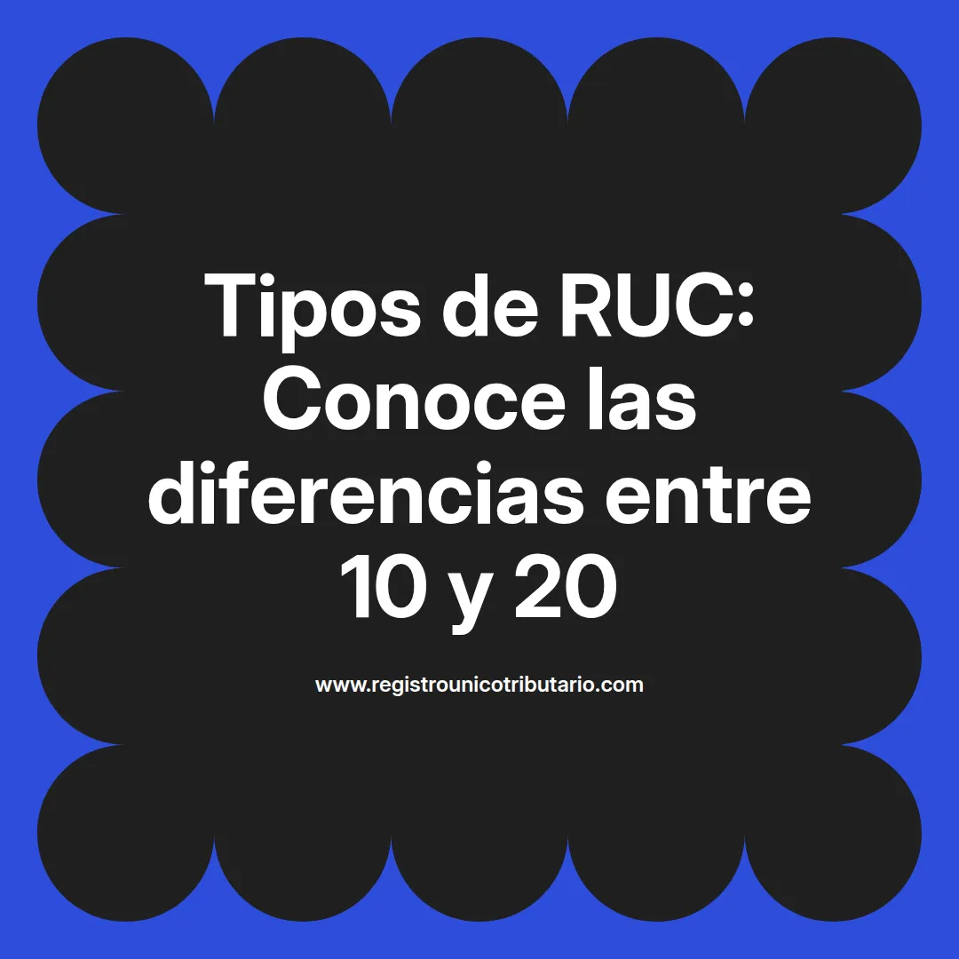 tipos de ruc 10 y 20 en Colombia diferencias y características de tipos de rut en Colombia
