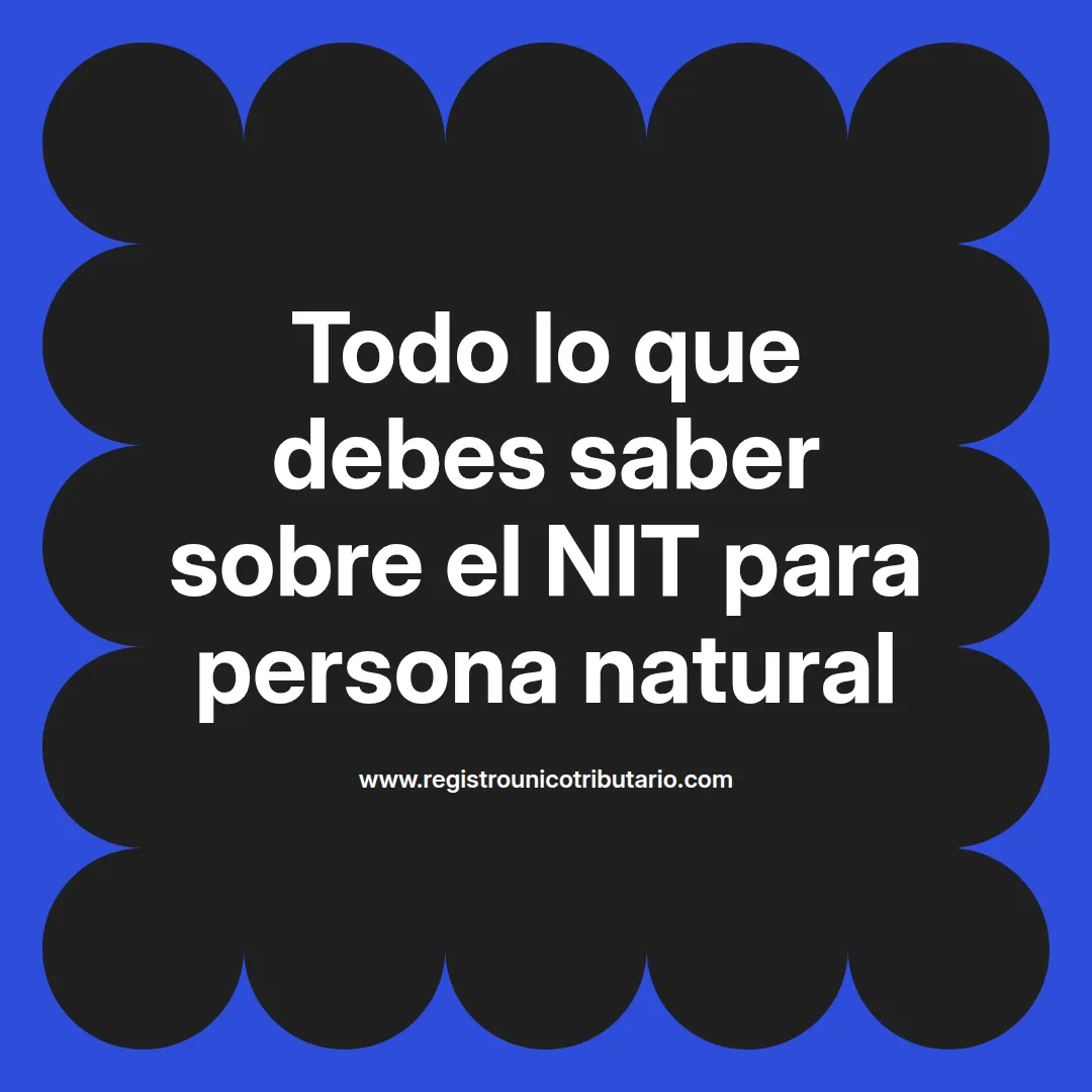 Imagen destacada sobre NIT persona natural y requisitos necesarios para su obtención en Bolivia