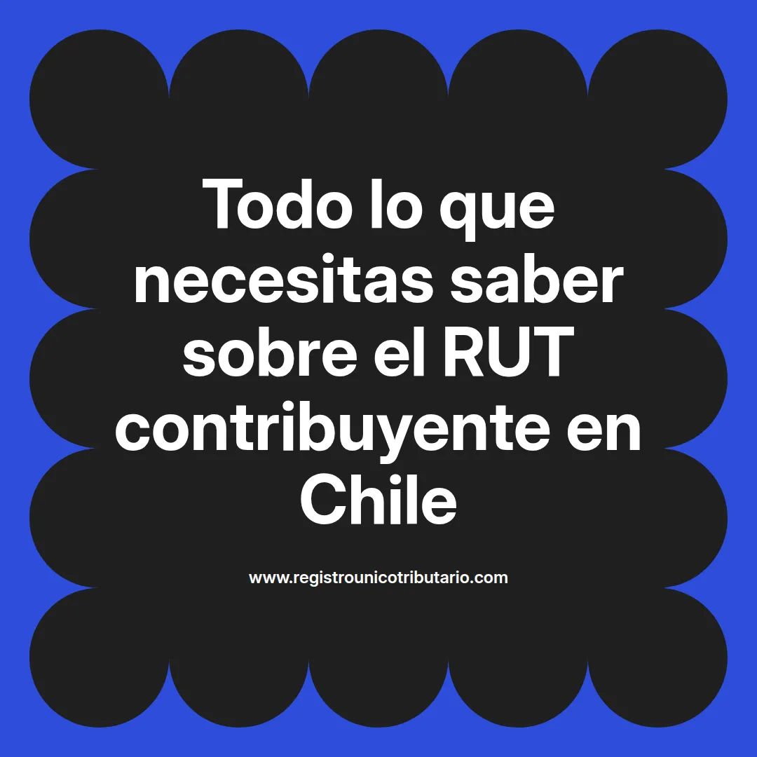 Imagen destacada sobre la importancia del rut contribuyente en Chile y su relación con el tipo de contribuyente