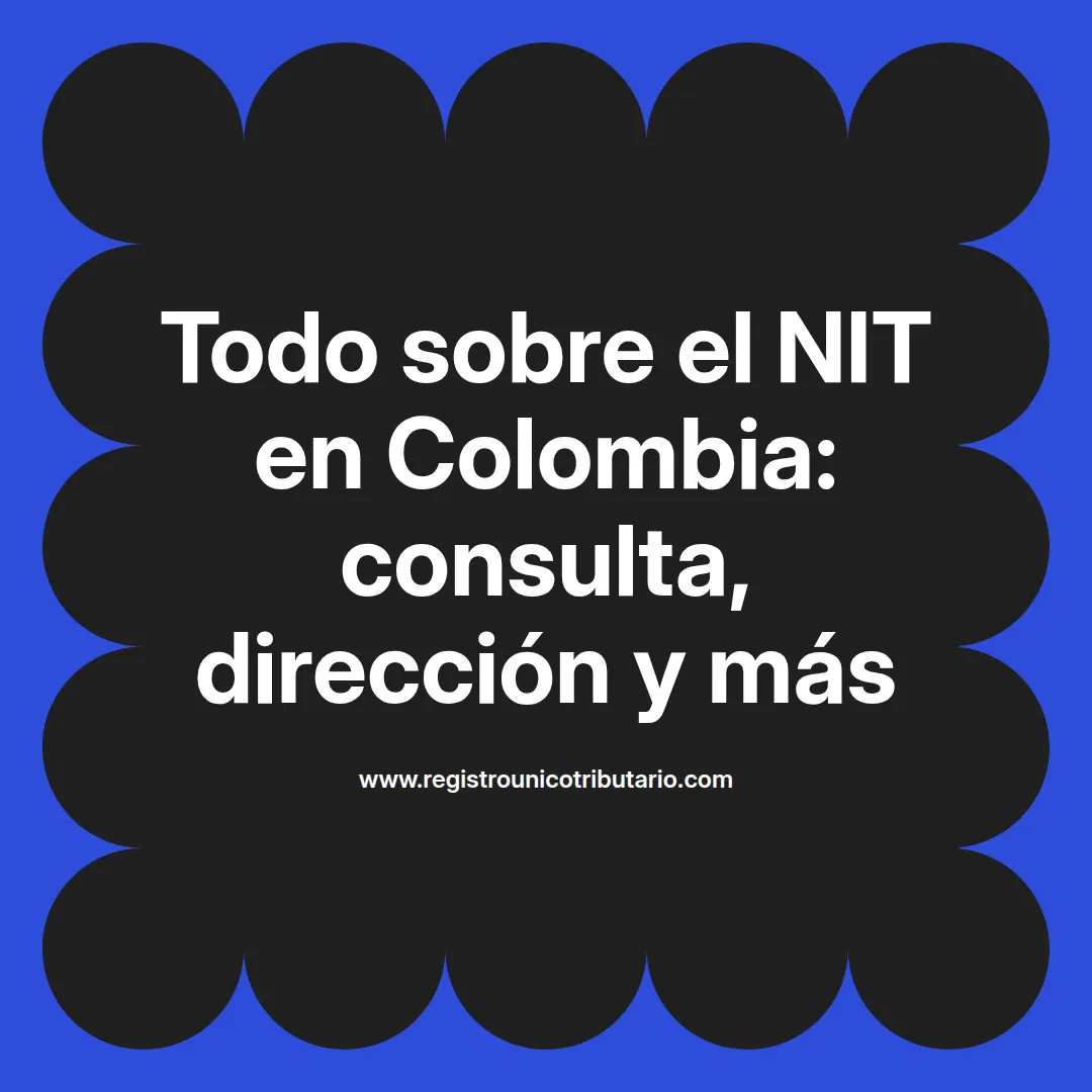 Imagen destacada sobre el dian nit en Colombia y su consulta para búsqueda de datos empresariales
