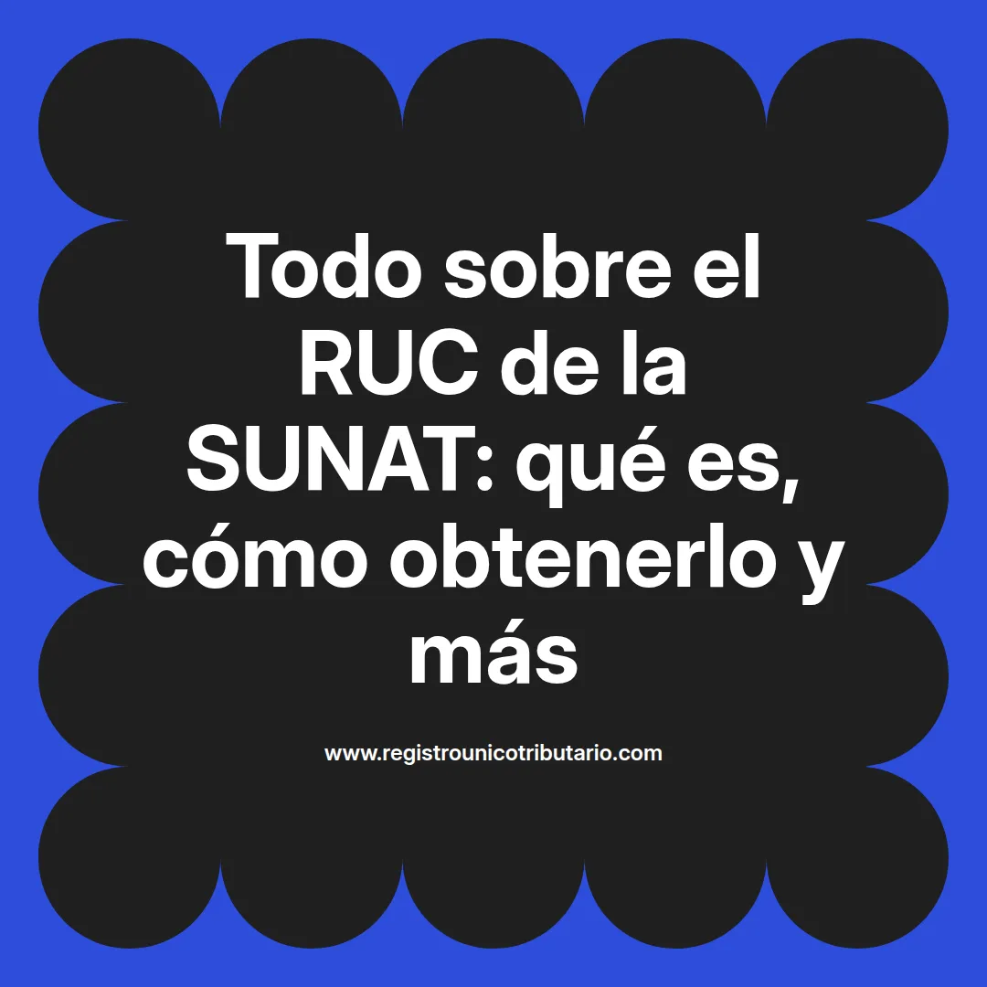 Imagen destacada sobre ruc de la sunat y su utilidad en trámites aduaneros y universitarios