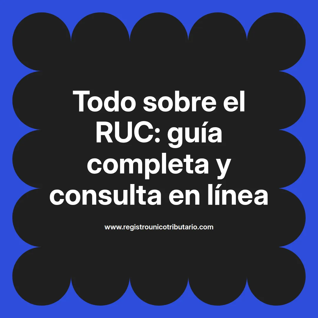 Imagen concentrándose en el ruc como herramienta clave para trámites y consultas en línea